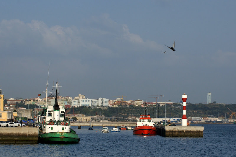 Barcos na doca em setubal