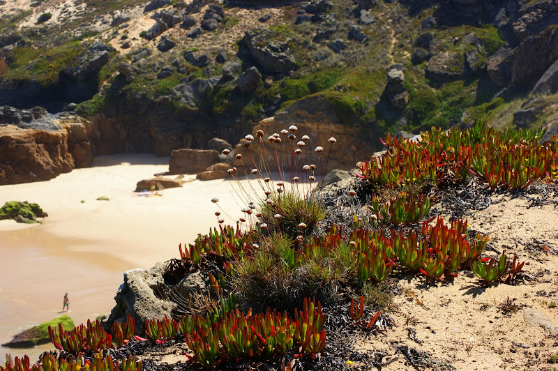 Praia do Malhão, milfontes