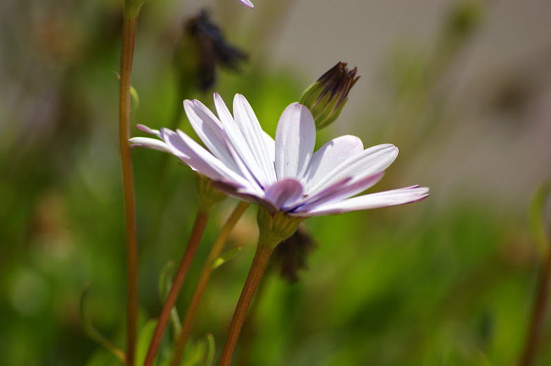 Uma perspectiva diferente