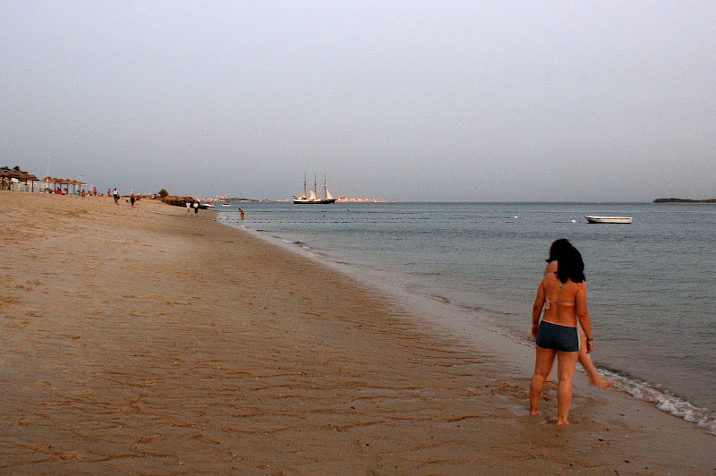 O barco No Sado desde Albarquel