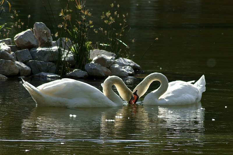 Momento de Ternura no jardim do Bonfim