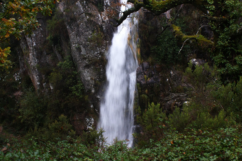 Leonte, Gerês