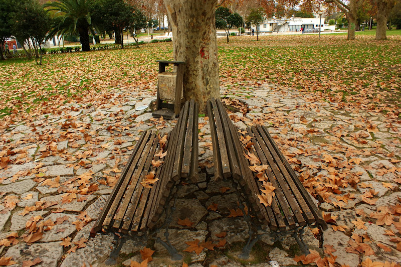 Os Bancos do Jardim do Bonfim