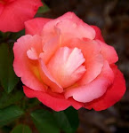 100_3517.JPG