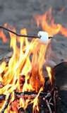 [roasting marshmallows[2].jpg]