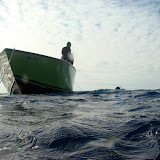 Diving Day 2