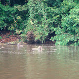 Peru - Rainforest