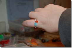 DSC_0012 (800x530)