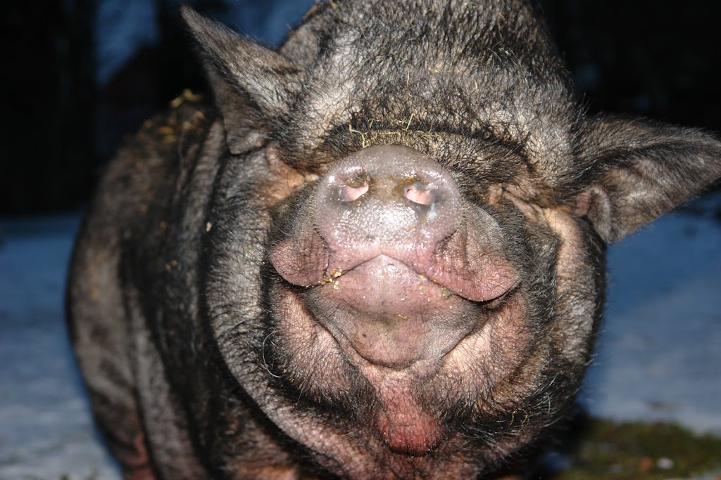 Klik op de afbeelding om de link te volgen