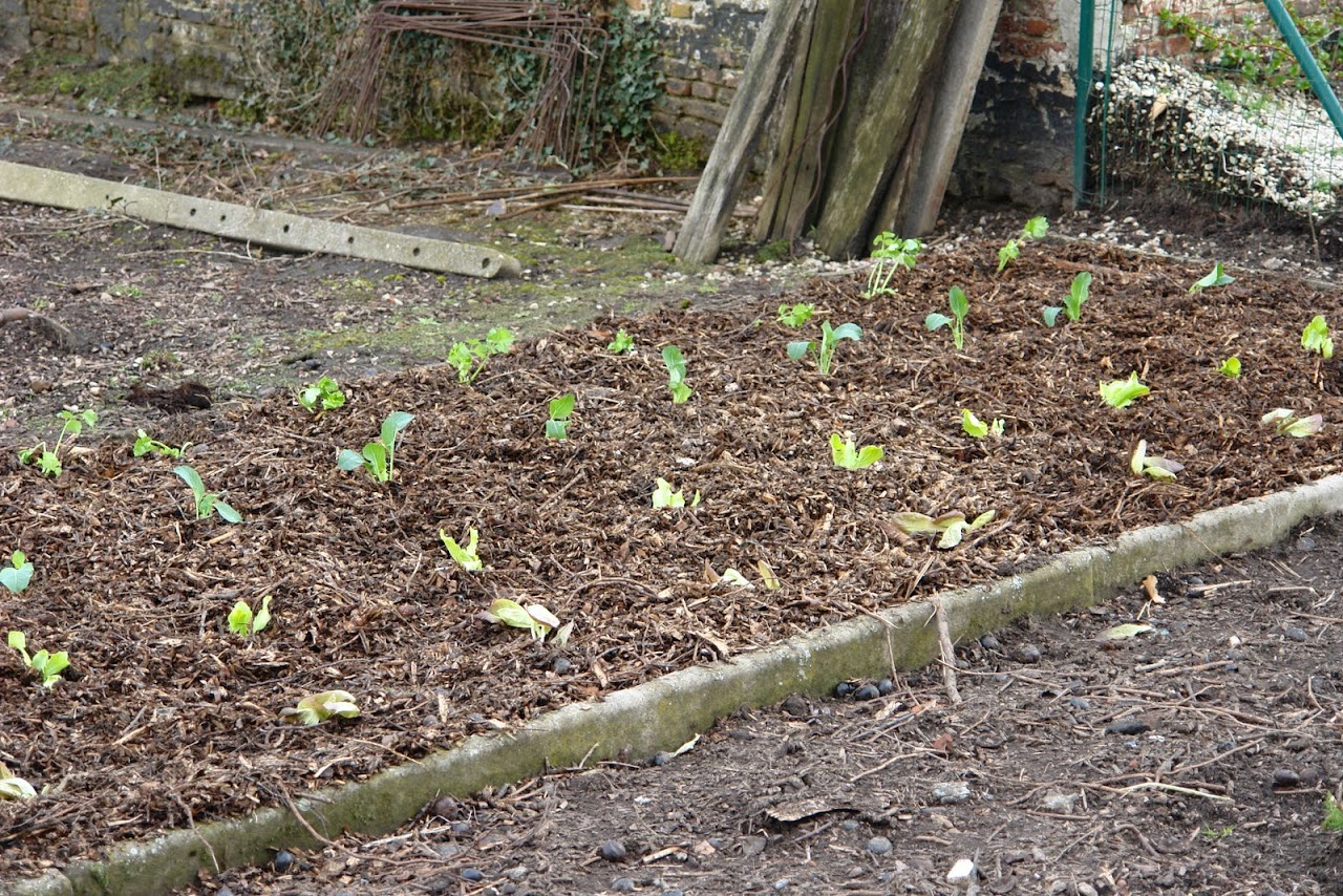 Klik op de afbeelding om de link te volgen