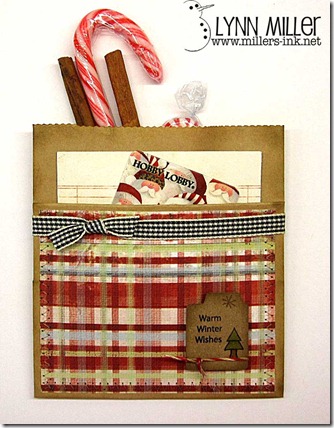 anties-pocket-3