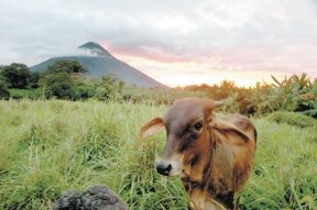 [ometepe[5].jpg]