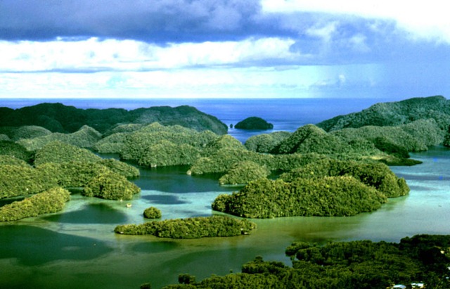 [Palau[8].jpg]