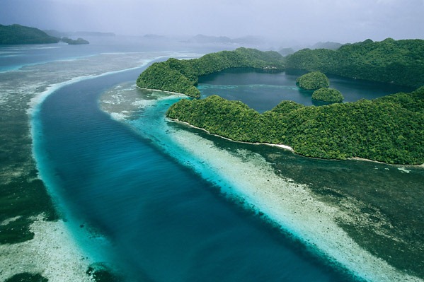 [palau - Photograph by Tim Laman[3].jpg]