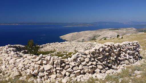 P1200431e.jpg