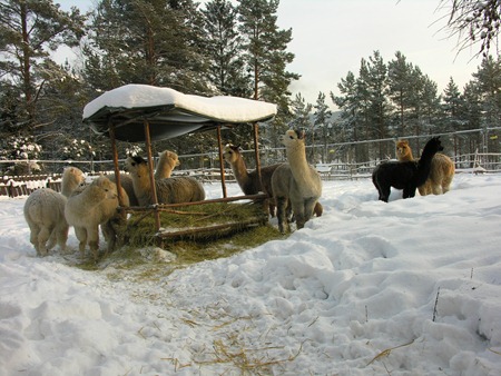 [Gutta inn i varmerommet 001[2].jpg]