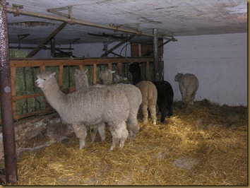 Look at the fleece on the girl in front!