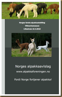 Årets utstillingskatalog 2010