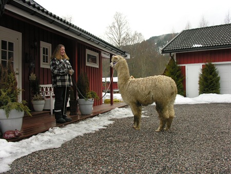 [Grimetrening med Beachcomber 011[2].jpg]