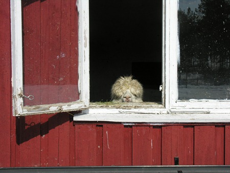 [Vårdager i påsken 046[2].jpg]
