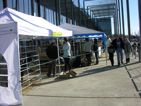 [Alpakkautstilling 2010 002[3].jpg]