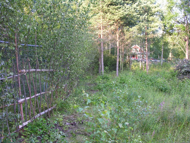 [gjerdet (langsiden) ferdig 002[3].jpg]