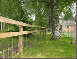 fence 001