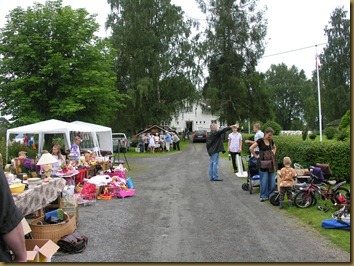 Liv og røre på Austvatn 009