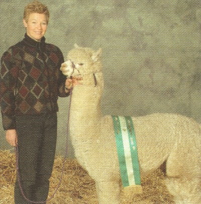 [corazon reserve champion adult male 2006[3].jpg]