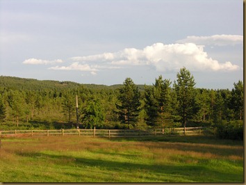 Knapper Alpakka outside view