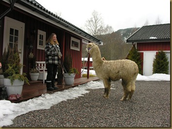 Nina snakker med Beachcomber