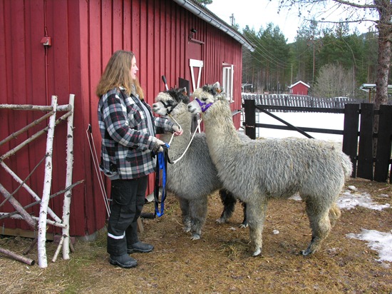 [Andre påskedag 014[3].jpg]