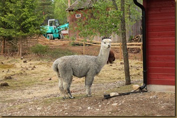 Viella poses. She is due first this year.