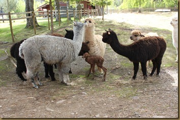 Everyone wants to check him out