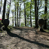 P1000738.JPG