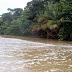 PB230062.JPG, 2009.11.21 Costa Rica