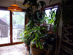 home sweet home