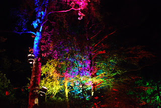 DSC_1361.JPG