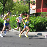 AVT 2009