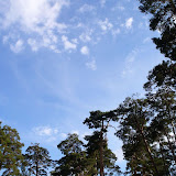L1050185.jpg