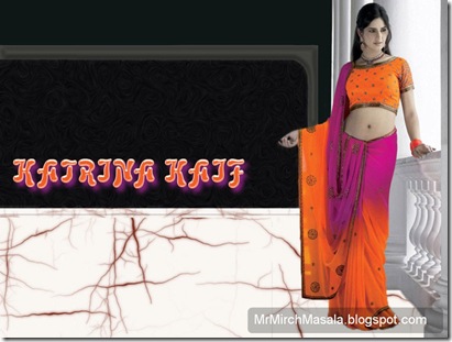 Katrina Kaif Posing in a Saree - New Wallpaper/Picture...