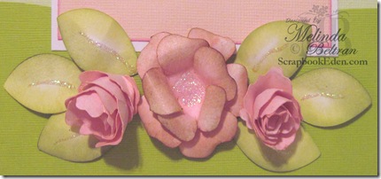 rose closeup 2