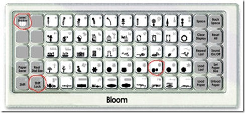 bloom overlay