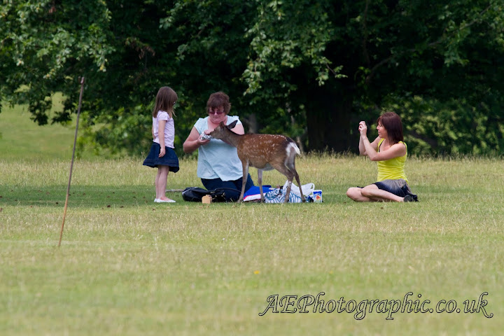 IMAGE: http://lh5.ggpht.com/_5yK23nU-AKk/TAp6qTzVKUI/AAAAAAAADnY/Cz-bHBIx3iY/s720/AE-4320.jpg