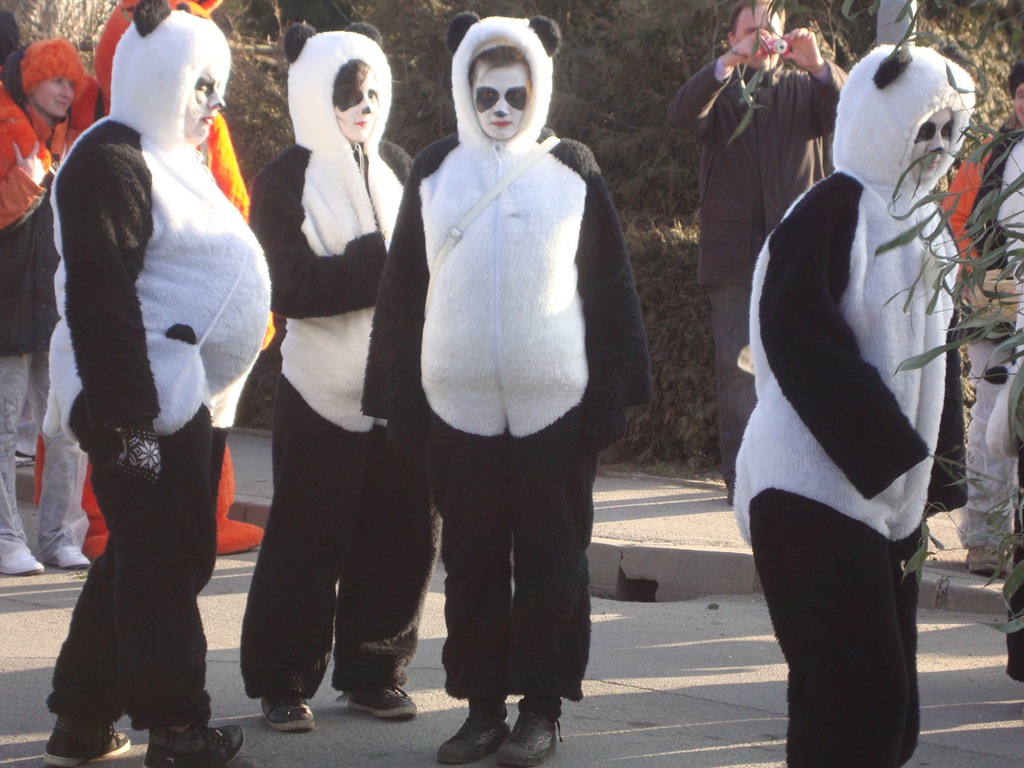 [pust v Dornavi 2011 panda (4)[3].jpg]