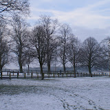 IMGP2215 - Copy.JPG