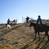 Helping the Horses through the Gate in Horse Dale near Huggate