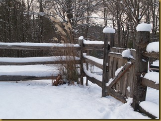 the fence and gate