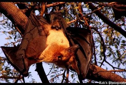 [DSCF0582[7].jpg]