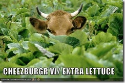 cow-lettuce-burger (Small) cow-lettuce-burger (Small)